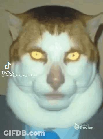 A Cat Wearing A Suit And Tie With Tiktok Written On It GIF