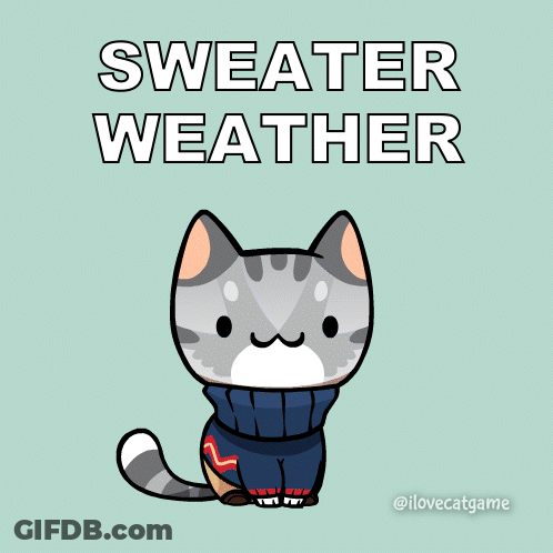 A Cat Wearing A Sweater With The Words Sweater Weather Written Above It GIF