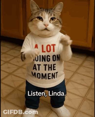 A Cat Wearing A T-Shirt That Says A Lot Going On At The Moment GIF