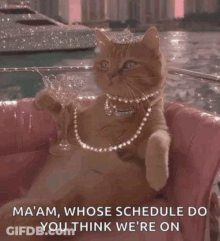 A Cat Wearing A Tiara And Pearls Is Holding A Glass Of Wine GIF