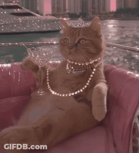 A Cat Wearing A Tiara And Pearls Sits On A Pink Chair Holding A Glass GIF
