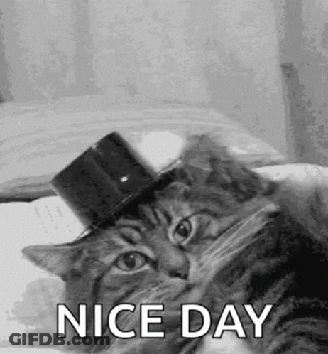 A Cat Wearing A Top Hat Is Laying On A Bed And Saying `` Nice Day '' . GIF