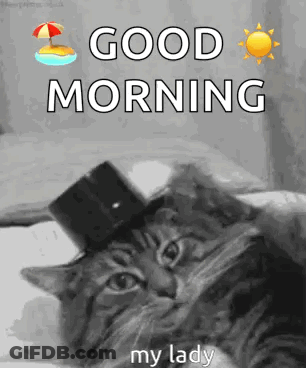 A Cat Wearing A Top Hat With The Words `` Good Morning My Lady '' Written Above It . GIF