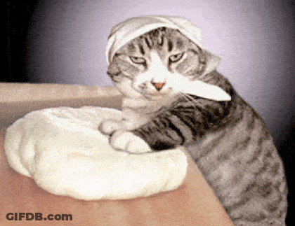 A Cat Wearing A Towel On Its Head Is Playing With A Piece Of Dough GIF