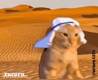 A Cat Wearing A Turban In The Desert With Rururu Written On The Bottom GIF