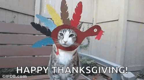 A Cat Wearing A Turkey Hat Is Sitting On A Bench And Wishing Everyone A Happy Thanksgiving . GIF