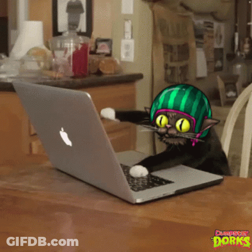 A Cat Wearing A Watermelon Helmet Is Using An Apple Laptop Computer GIF