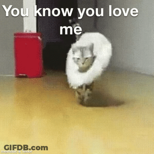A Cat Wearing A White Feathered Hat Is Walking On The Floor . GIF