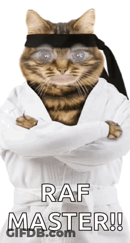 A Cat Wearing A White Robe And Black Headband With Raf Master Written Below It GIF