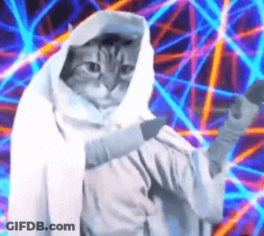 A Cat Wearing A White Robe Is Holding A Microphone GIF