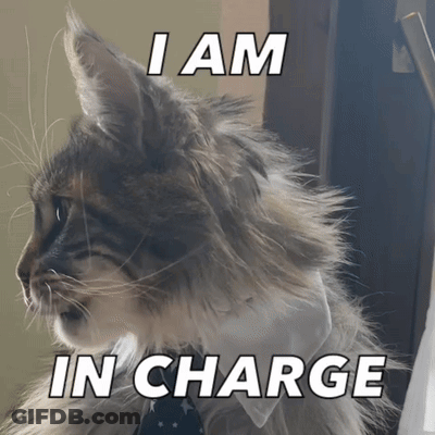 A Cat Wearing A White Shirt And Tie With The Words I Am In Charge Above It GIF