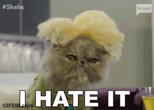A Cat Wearing A Wig And A Green Shirt Says I Hate It GIF