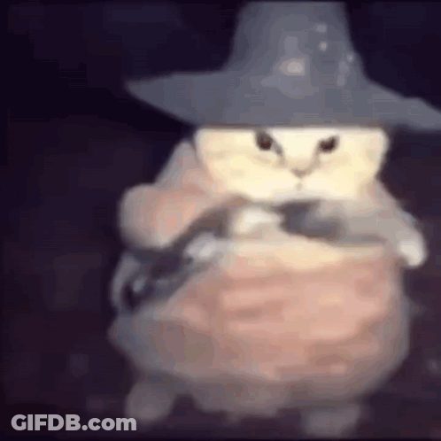 A Cat Wearing A Witch Hat And A Dress Is Holding A Mouse . GIF