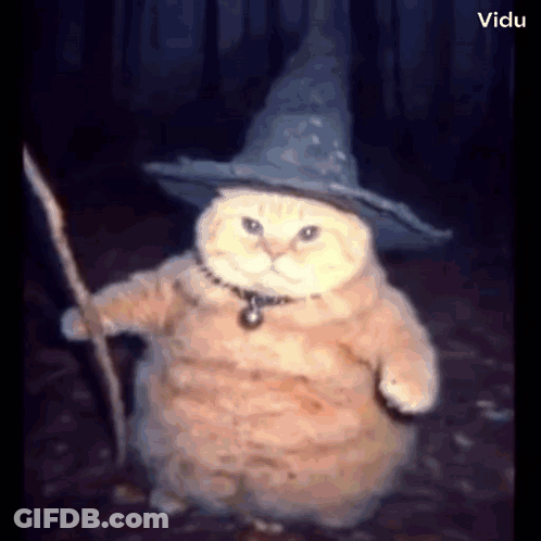 A Cat Wearing A Witch Hat And Holding A Stick . GIF
