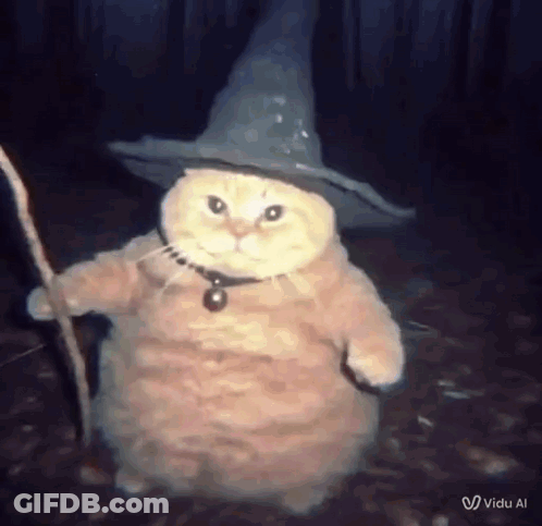 A Cat Wearing A Witch Hat And Holding A Stick . GIF