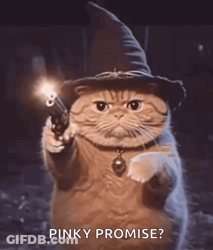 A Cat Wearing A Witch Hat Is Holding A Gun And Pointing It At The Camera . GIF