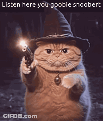 A Cat Wearing A Witch Hat Is Pointing A Gun With The Caption Listen Here You Goobie Snoobert GIF