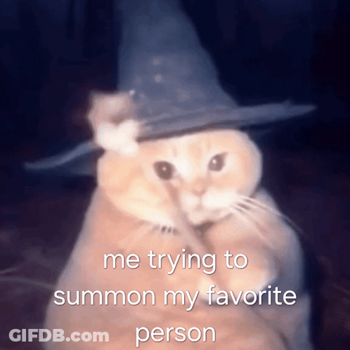 A Cat Wearing A Witch Hat With The Words Me Trying To Summon My Favorite Person Below It GIF