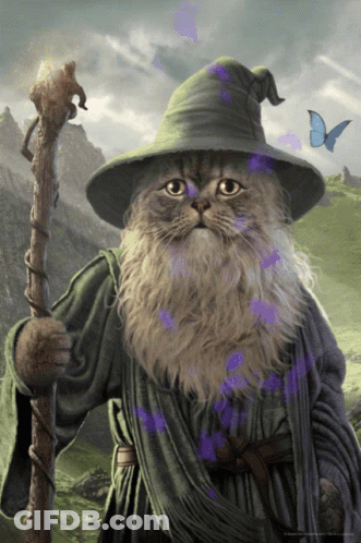 A Cat Wearing A Wizard 'S Hat And Holding A Cane GIF