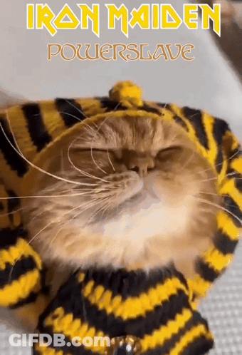 A Cat Wearing A Yellow And Black Striped Sweater With The Words Iron Maiden Powerslave Written Above It GIF