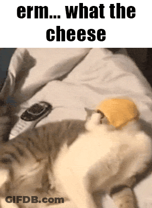 A Cat Wearing A Yellow Hat Is Laying On A Bed With The Words " Erm What The Cheese " Above It GIF