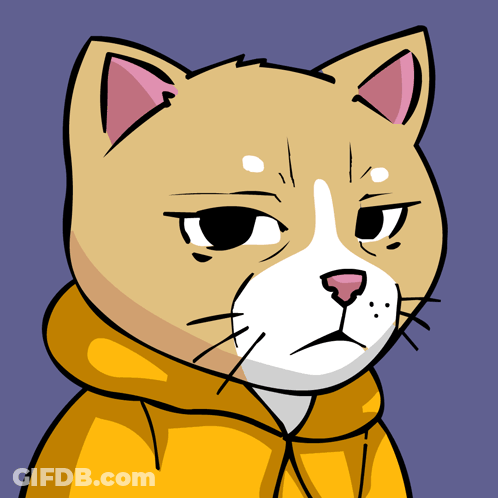 A Cat Wearing A Yellow Hoodie Has A Serious Look On Its Face GIF