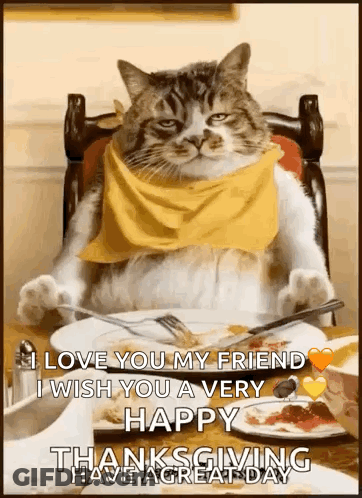 A Cat Wearing A Yellow Scarf Is Sitting At A Table With A Plate Of Food And A Fork . GIF