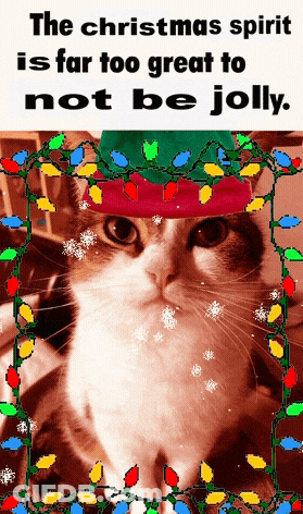 A Cat Wearing An Elf Hat With Christmas Lights In The Background GIF