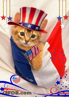 A Cat Wearing An Uncle Sam Hat And Holding A Flag GIF