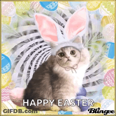 A Cat Wearing Bunny Ears Is Sitting On A Happy Easter Card GIF