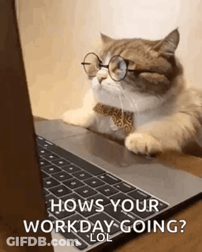 A Cat Wearing Glasses And A Bow Tie Is Laying On A Laptop Computer . GIF