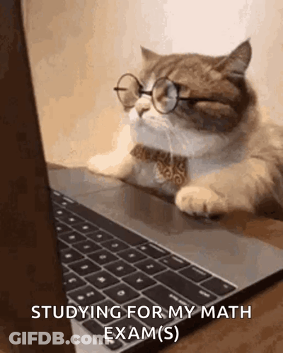 A Cat Wearing Glasses And A Bow Tie Is Laying On A Laptop Computer . GIF