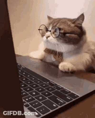 A Cat Wearing Glasses And A Bow Tie Is Laying On Top Of A Laptop Computer . GIF
