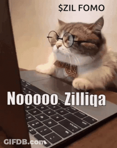 A Cat Wearing Glasses And A Bow Tie Is Sitting In Front Of A Laptop Computer GIF