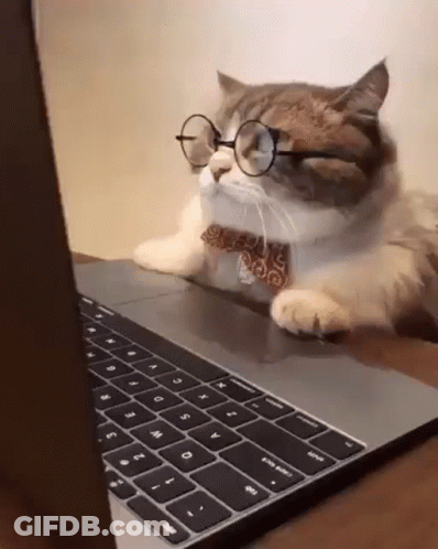 A Cat Wearing Glasses And A Bow Tie Is Sitting On A Laptop . GIF