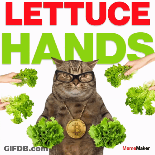 A Cat Wearing Glasses And A Gold Necklace Holds Lettuce In Its Hands GIF