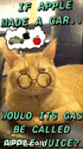 A Cat Wearing Glasses And A Hat Says If Apple Made A Car Would Its Car Be Called Apple Juice ? GIF