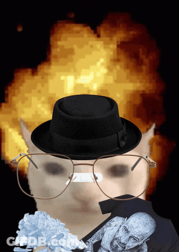 A Cat Wearing Glasses And A Hat With A Picture Of A Man Behind It GIF