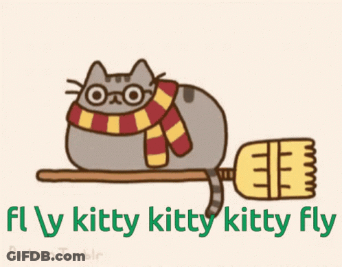 A Cat Wearing Glasses And A Scarf Is Riding A Broom With The Words Fly Kitty Kitty Kitty Fly Below It GIF