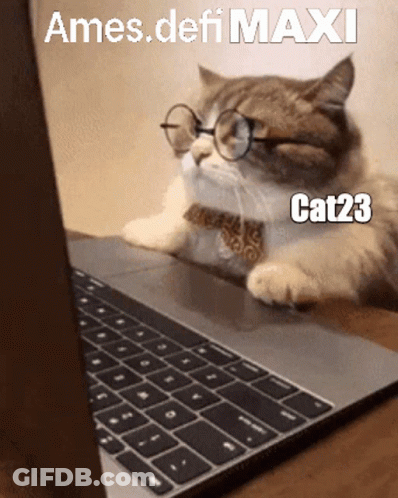 Cat With Glasses And Tie Laying In Front Of Laptop GIF