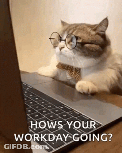 A Cat Wearing Glasses And A Tie Is Laying On A Laptop . GIF