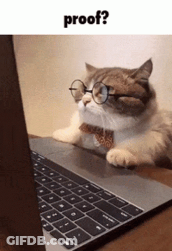 A Cat Wearing Glasses And A Tie Is Looking At A Laptop . GIF