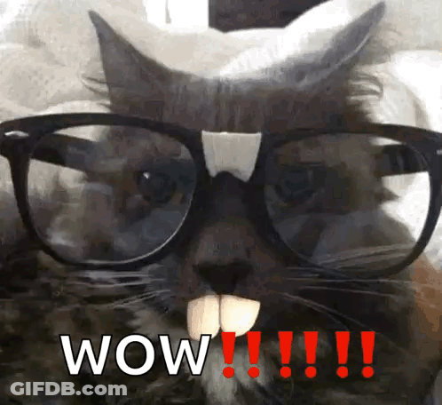 A Cat Wearing Glasses And Fake Teeth Has The Word Wow Written In Red GIF
