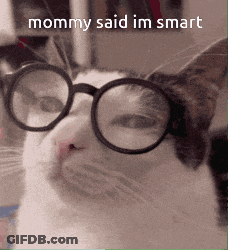 A Cat Wearing Glasses And The Words Mommy Said Im Smart GIF