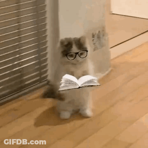 A Cat Wearing Glasses Is Holding An Open Book In Its Paws . GIF