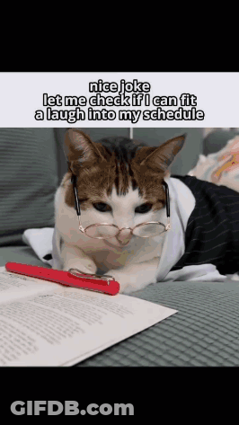 A Cat Wearing Glasses Is Laying On A Couch Next To A Red Pen And A Book . GIF