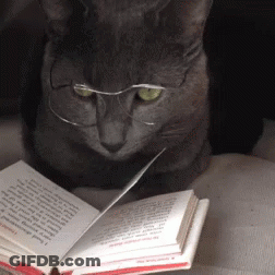 A Cat Wearing Glasses Is Looking At A Book GIF