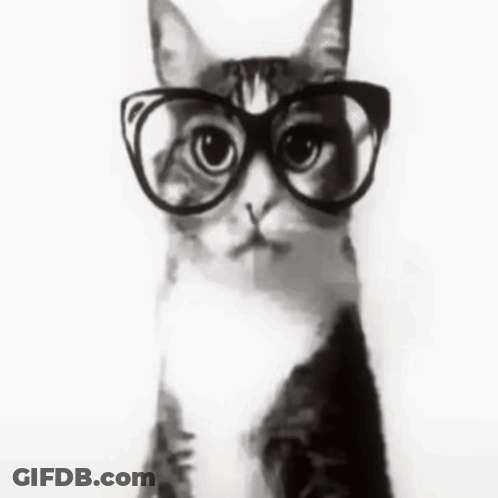 A Cat Wearing Glasses Is Looking At The Camera In A Black And White Photo GIF