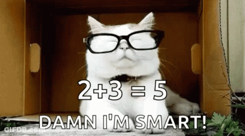 A Cat Wearing Glasses Is Sitting In A Box . GIF