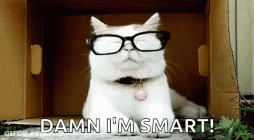 A Cat Wearing Glasses Is Sitting In A Cardboard Box . GIF